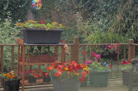 Banksfield Nursing Home Care Home Preston  - 4