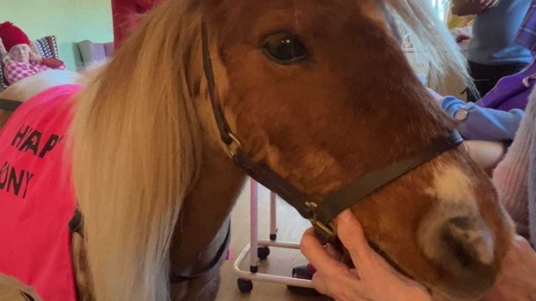 Catherine House Care Home Care Home Frome activities-carousel - 8