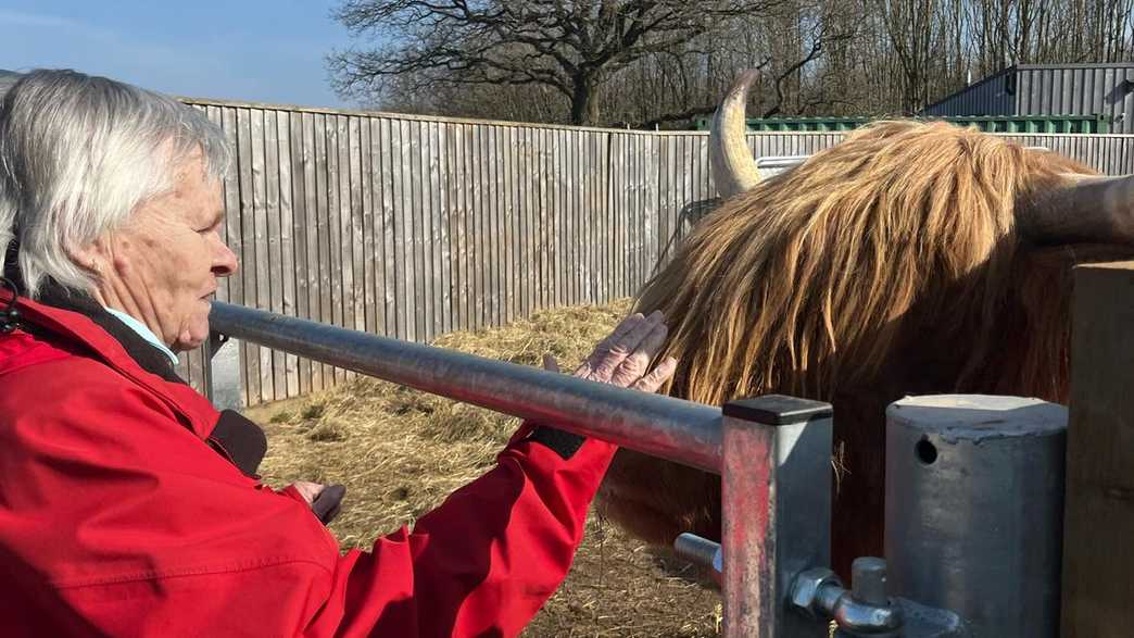 Catherine House Care Home Care Home Frome activities-carousel - 19