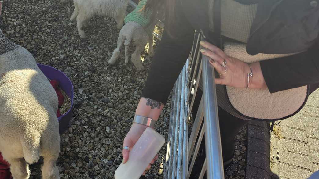 Catherine House Care Home Care Home Frome activities-carousel - 29