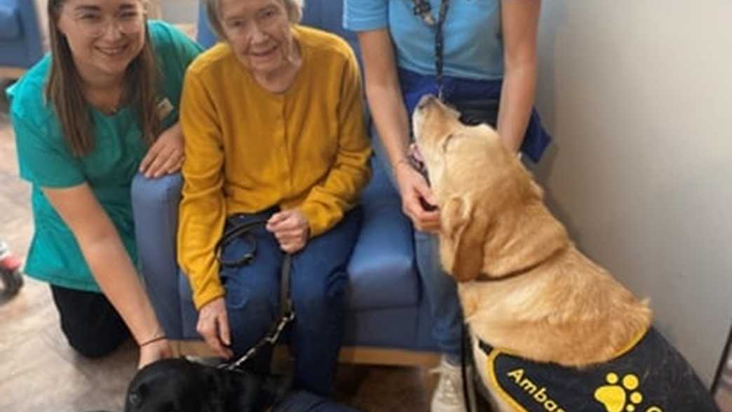 Perry Manor Care Home Worcester activities-carousel - 6