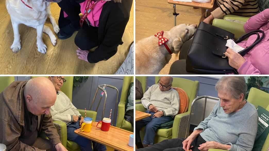 Poplars Care Home Care Home Ruislip activities-carousel - 6