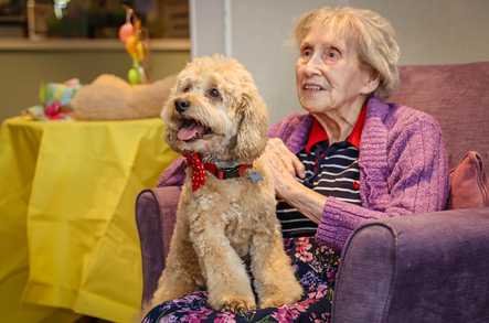 Fairmile Grange Care Home Christchurch  - 5