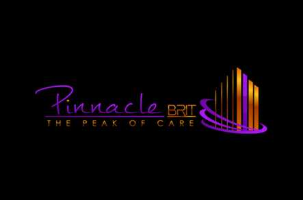 Pinnacle Brit Home Care Hounslow  - 1