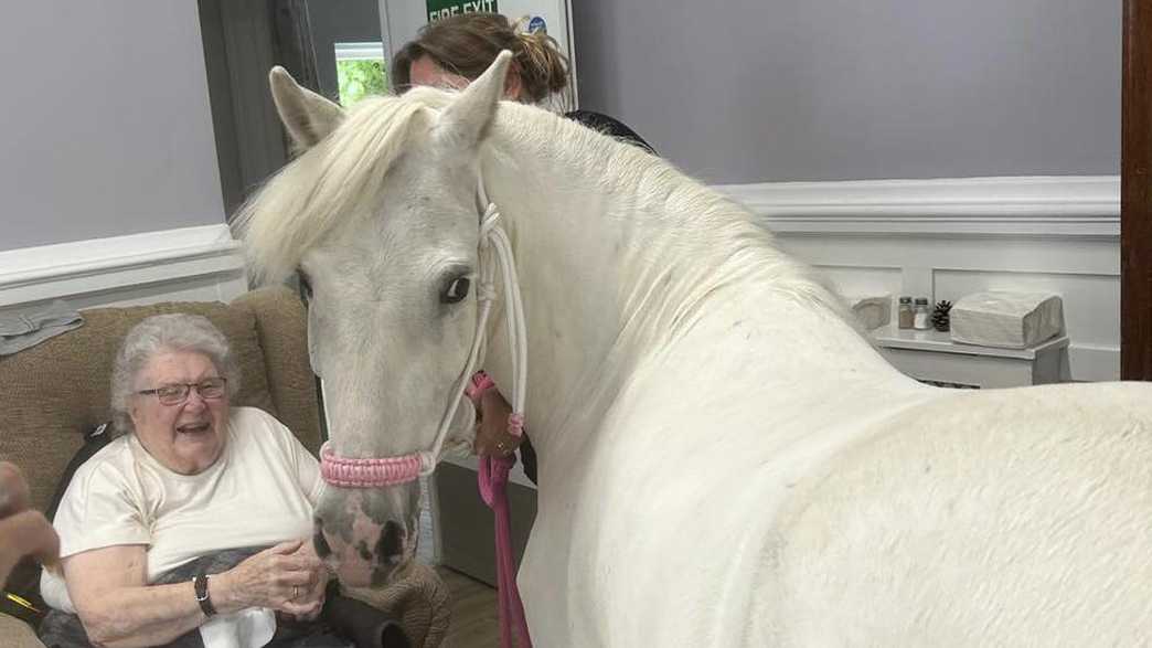 Ashview Nursing Home Care Home Ware activities-carousel - 1