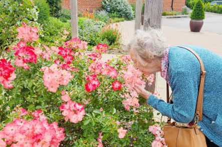 Portsdown View Care Home Havant  - 5