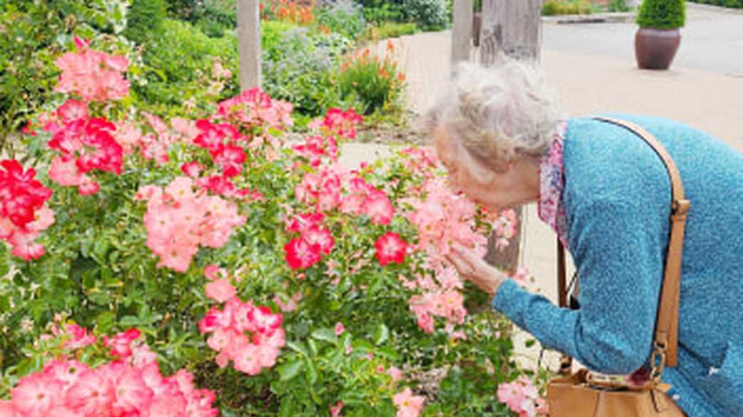 Portsdown View Care Home Havant activities-carousel - 2