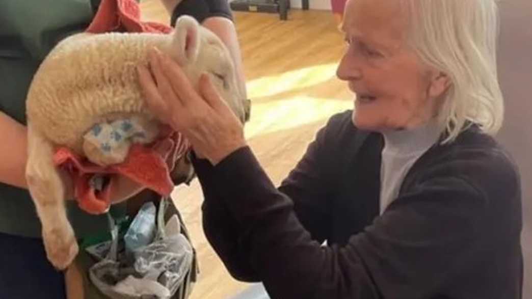 Quinnell House Care Home Hailsham activities-carousel - 3