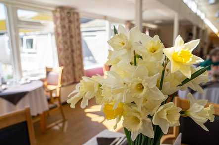 Woodland Residential Care Home Care Home St. Austell  - 1