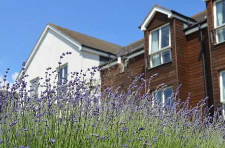 Lavender Court | Care Home | Taunton, TA1 2BD