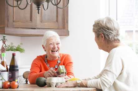 Seniors Helping Seniors (Mid Surrey and West Kent) Home Care Woking  - 1