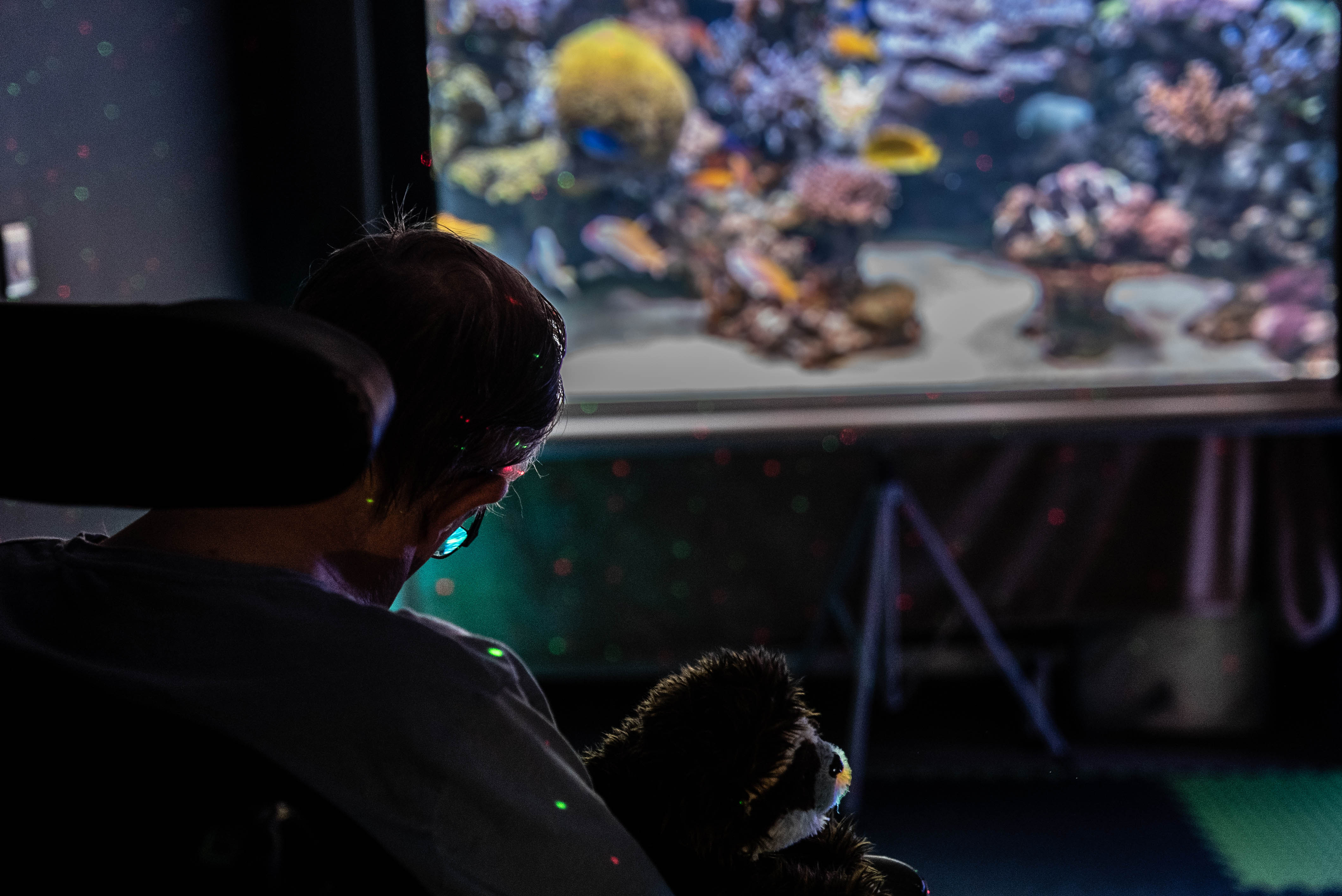 Bagshot Park Care Centre Care Home Bagshot, GU19 5HN