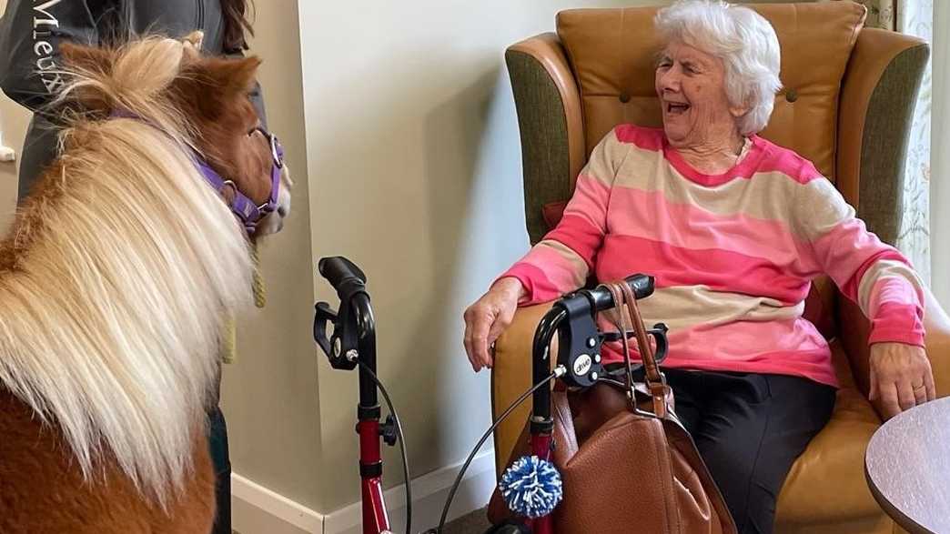 Smyth Lodge Care Home Sidcup activities-carousel - 4