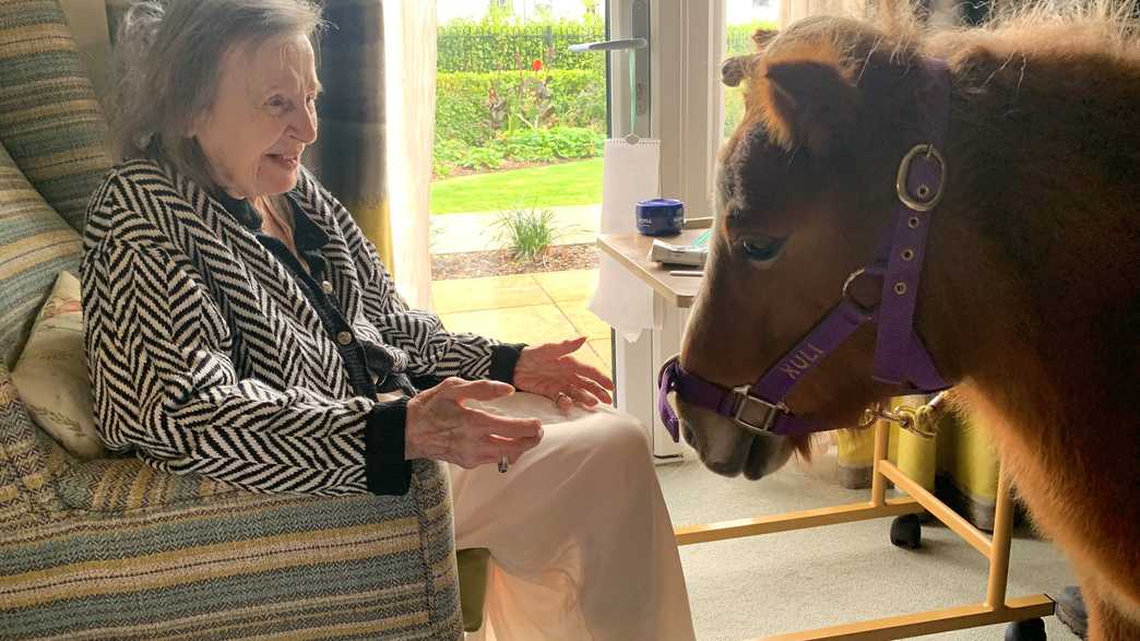 Smyth Lodge Care Home Sidcup activities-carousel - 5