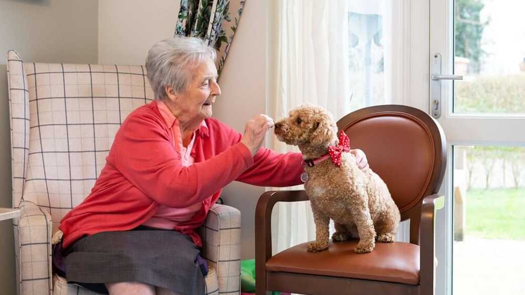 Snowdrop House Care Home Ware activities-carousel - 1