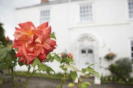 Somerset House Care Home Bristol  - 1