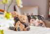 Steeton Court Nursing Home - 4