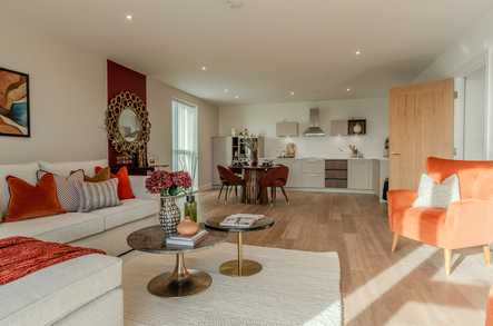 2 Bed Bungalow image 5