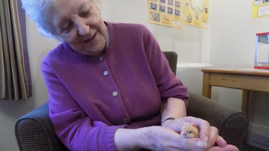 The Old Vicarage Care Home Care Home Chesterfield activities-carousel - 3