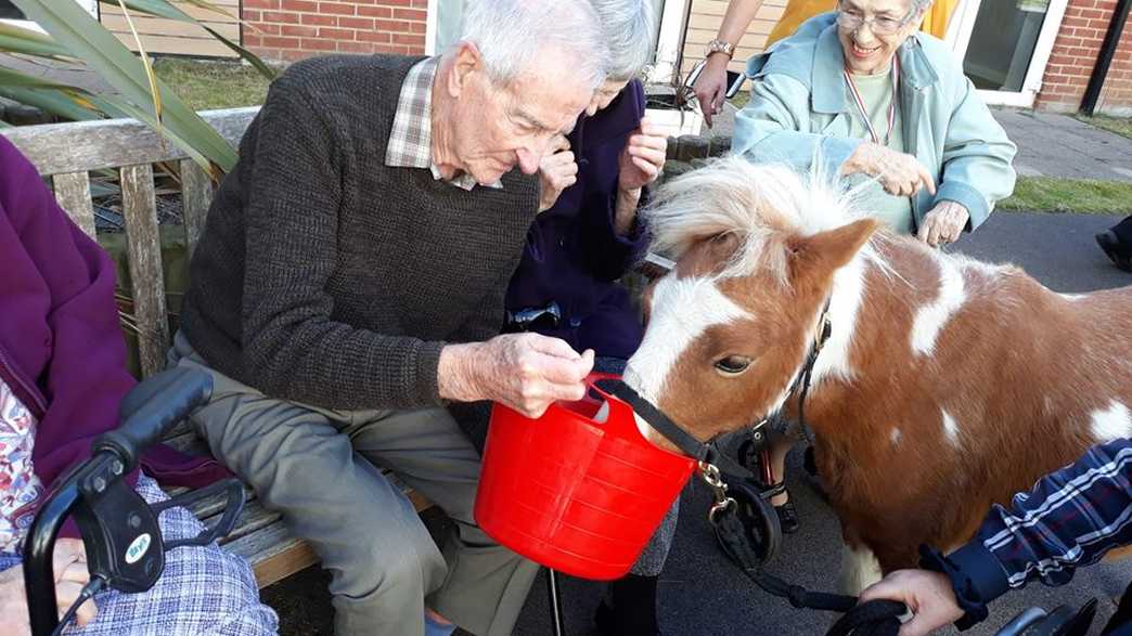 The Potteries Care Home Broadstone activities-carousel - 5