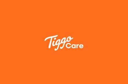 Tiggo Care (Live-in Care) Live In Care London  - 1