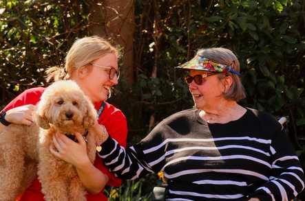 Hill House Nursing Home Care Home Farnham  - 3