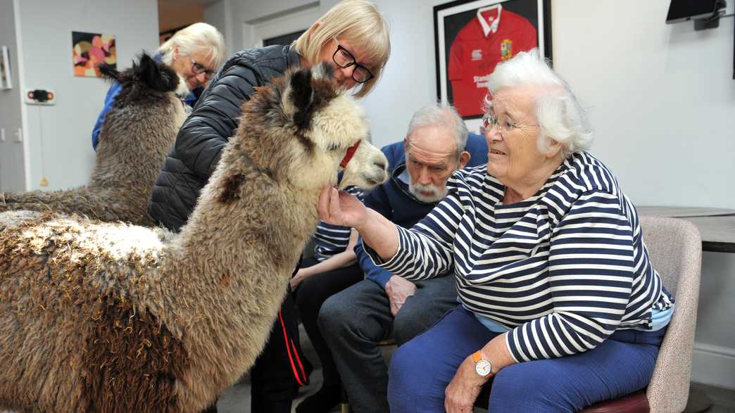 Wentworth Court Nursing Home Care Home Cheltenham activities-carousel - 9