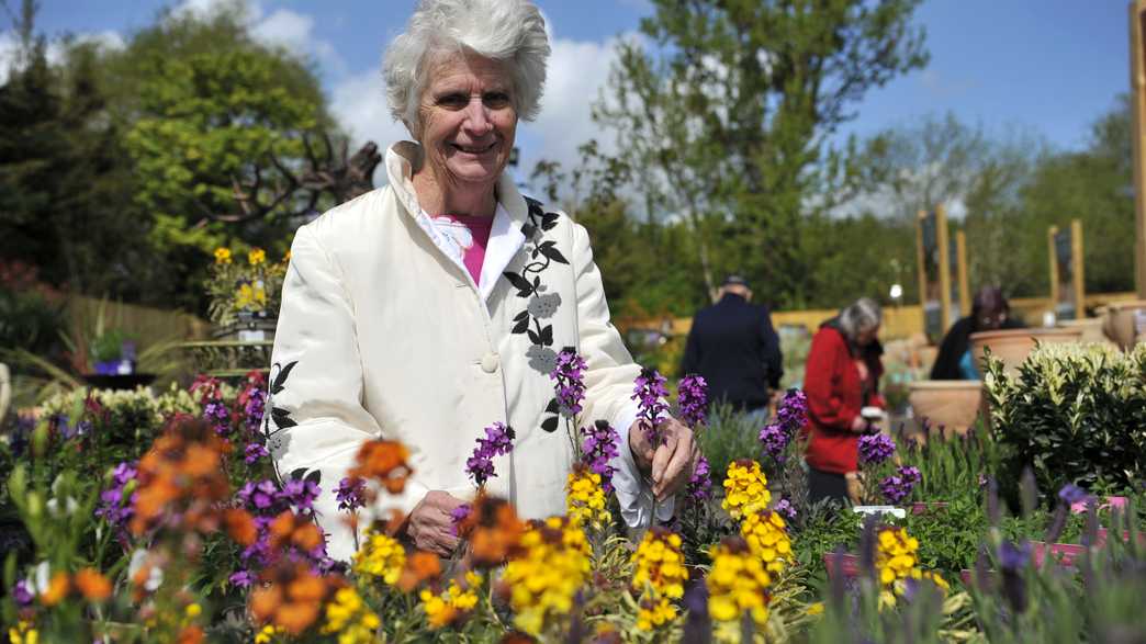 Wentworth Court Nursing Home Care Home Cheltenham activities-carousel - 21
