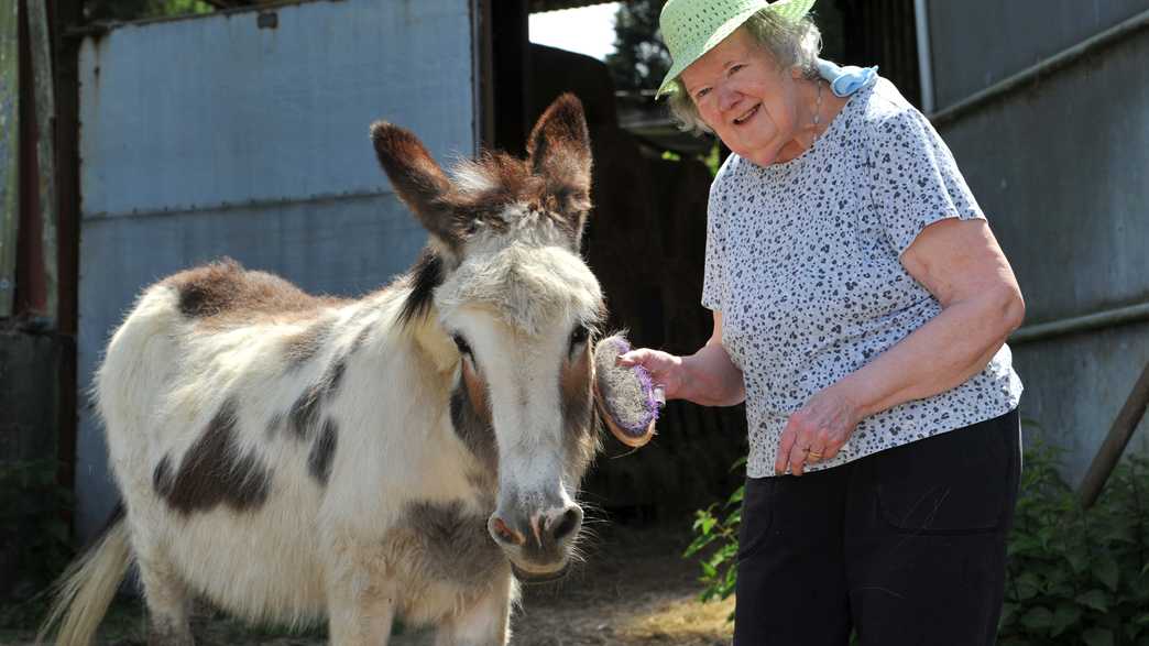 Wentworth Court Nursing Home Care Home Cheltenham activities-carousel - 14