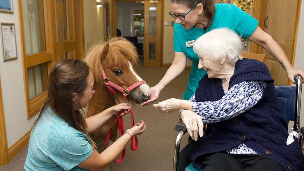 Winchcombe Place Care Home Newbury activities-carousel - 8