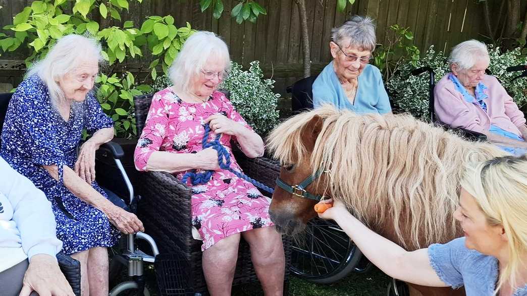 Windmill House Care Home Wymondham activities-carousel - 4