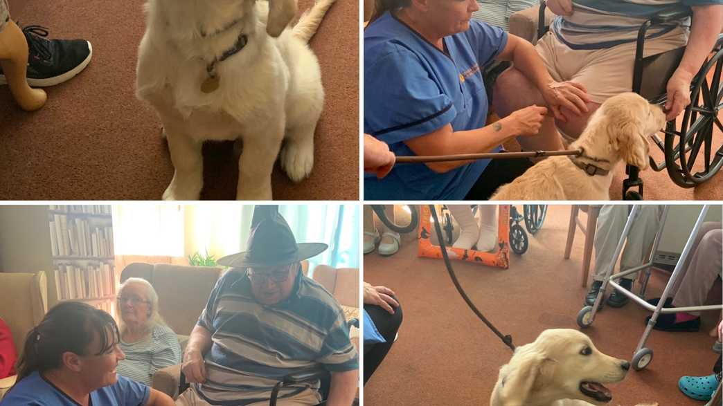Ashfield Care Home Exmouth activities-carousel - 43