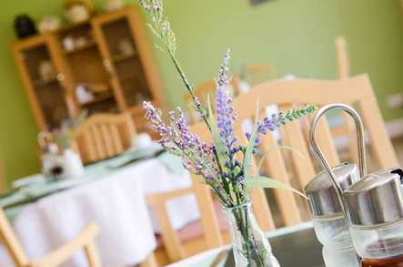 Piper Court Care Home Stockton-on-Tees  - 3