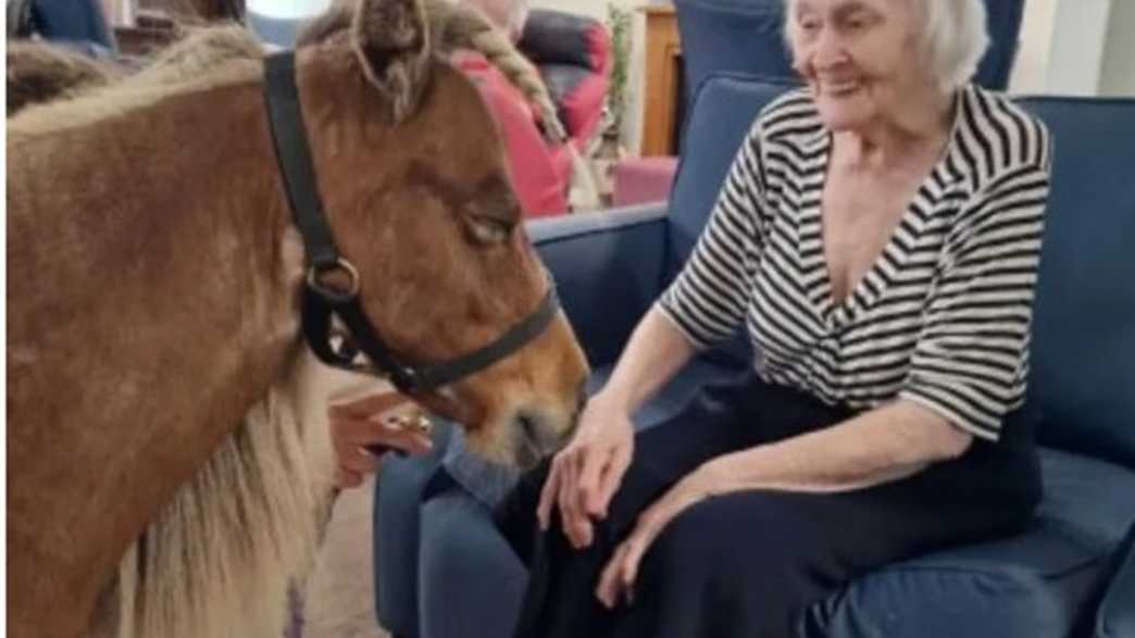 The Links Care Home Broadstone activities-carousel - 1