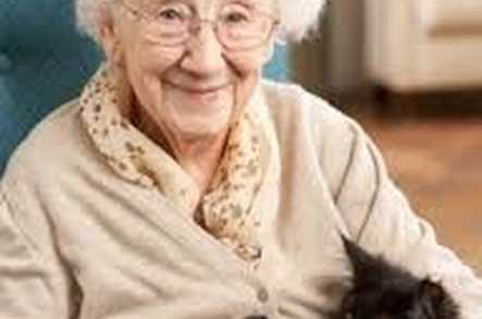 Independent People Homecare Services Limited Home Care Chelmsford  - 1