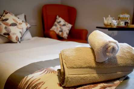 Cwrt-Clwydi-Gwyn Care Home Care Home Neath  - 4