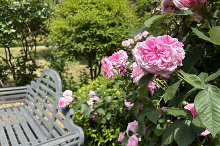 Glebe House Care Home Care Home Caterham  - 5