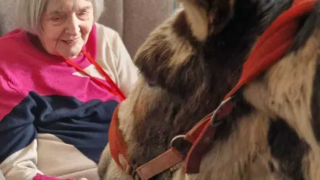 Lansdowne Care Home Care Home London activities-carousel - 1