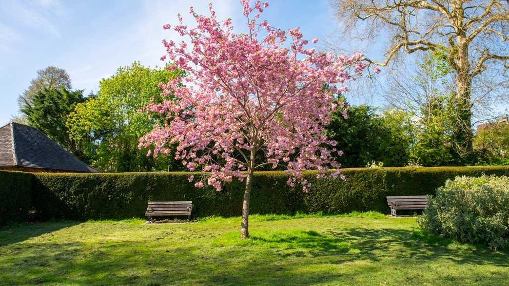 Lambrook Court Retirement Living Bath wellbeing-carousel - 6