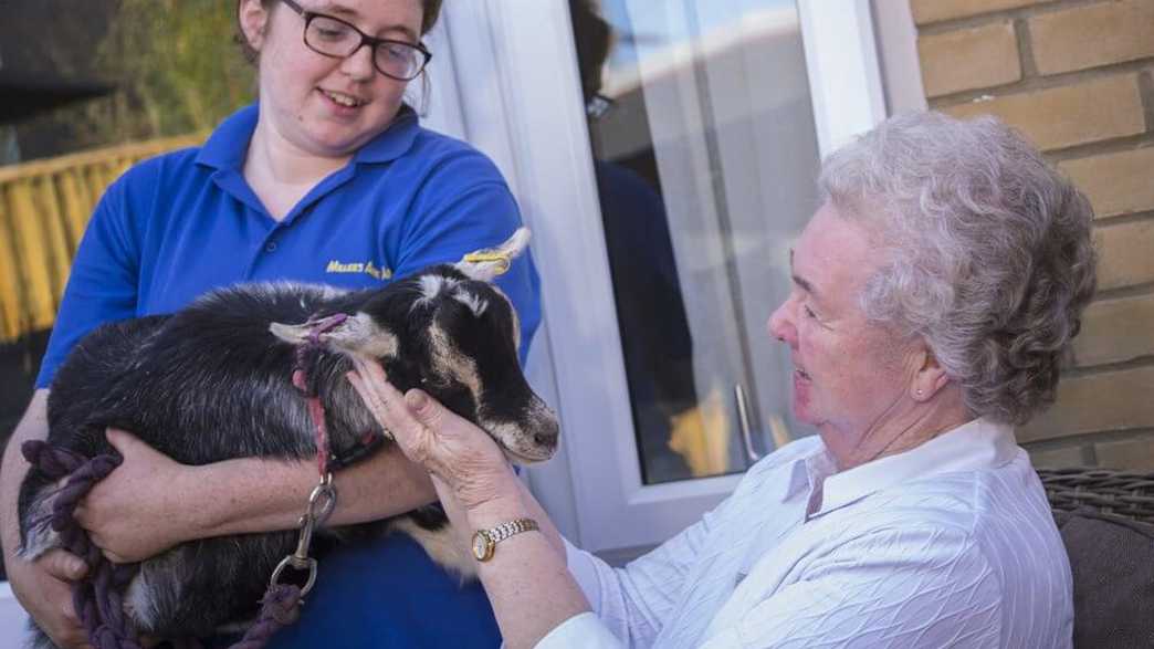 Pear Tree Court Care Home Waterlooville activities-carousel - 2