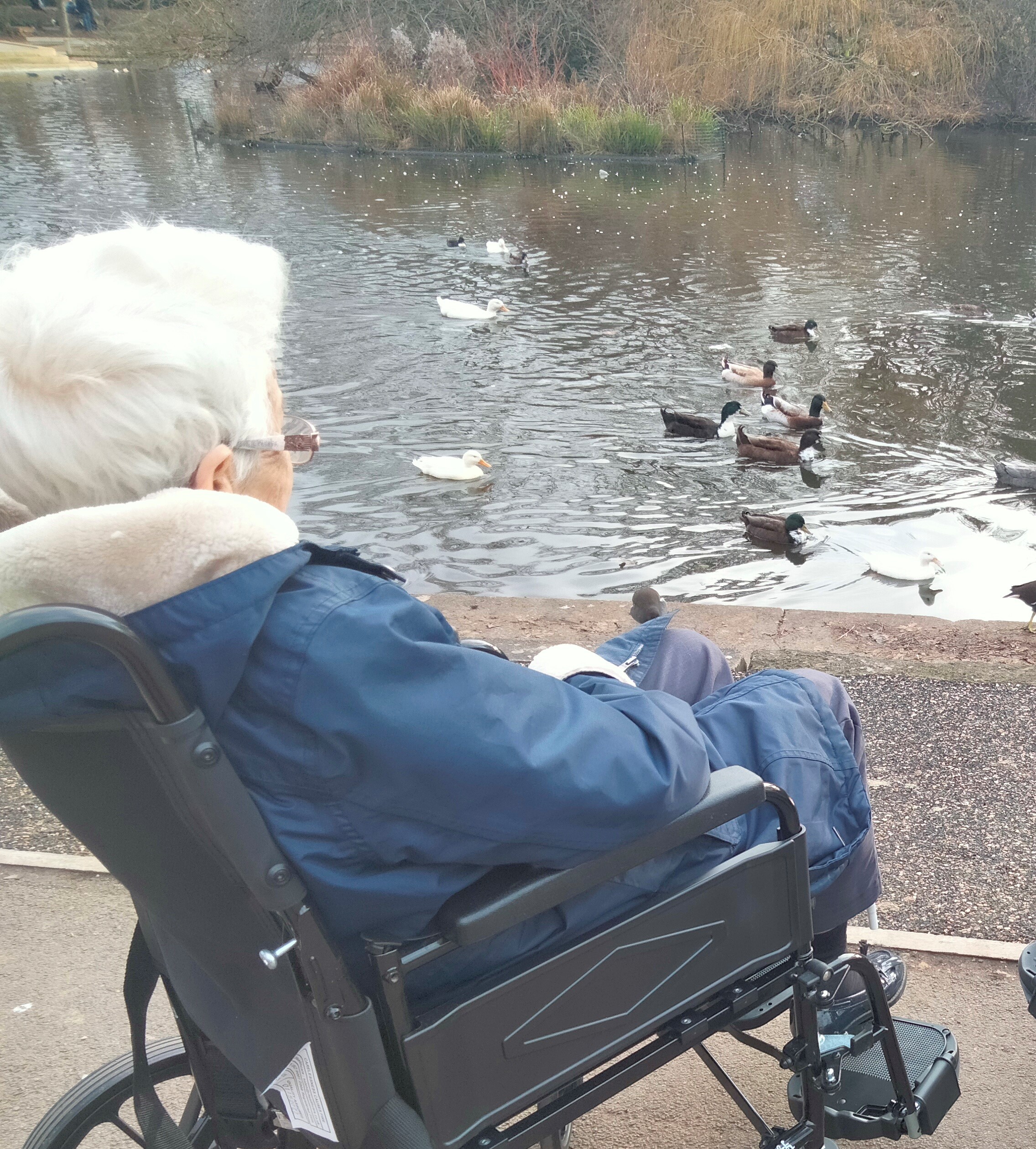 Queens Meadow Care Home Care Home Hartlepool, TS25 5DF
