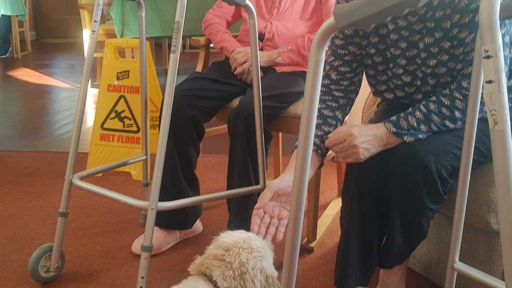 Cambrian Lodge Care Home Portishead activities-carousel - 6
