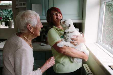 BelleVie High Wycombe and South Buckinghamshire Home Care High Wycombe  - 1