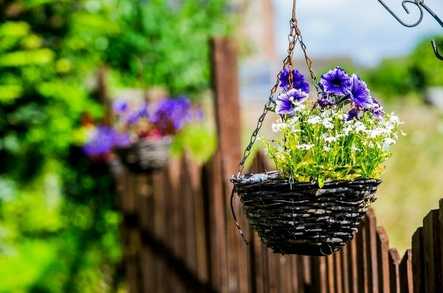 Park House Care Home Guisborough  - 5
