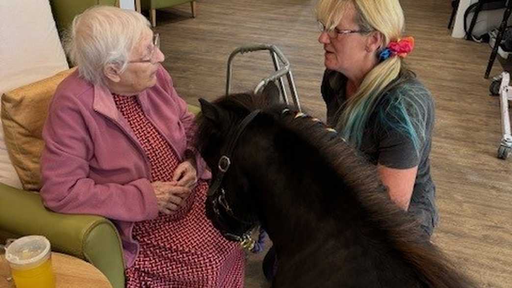 Monson Retirement Home Care Home Lincoln activities-carousel - 44