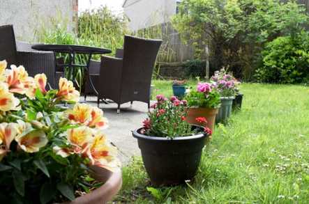 St Martins Court Care Home Care Home Swansea  - 5