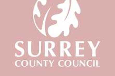 Guildford and Waverley Area Reablement Service Home Care Guildford  - 1