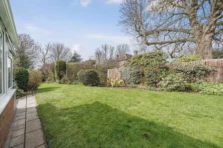 One-Bedroom Bungalow image 5