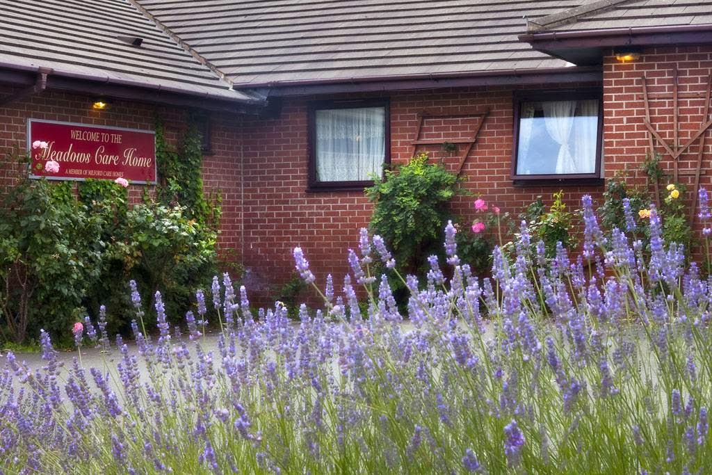 The Meadows Care Home Care Home Alfreton, DE55 7JL