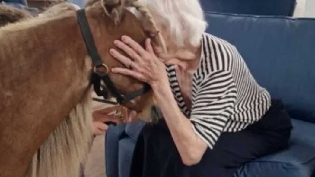 The Links Care Home Broadstone activities-carousel - 7
